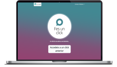 Pàgina web